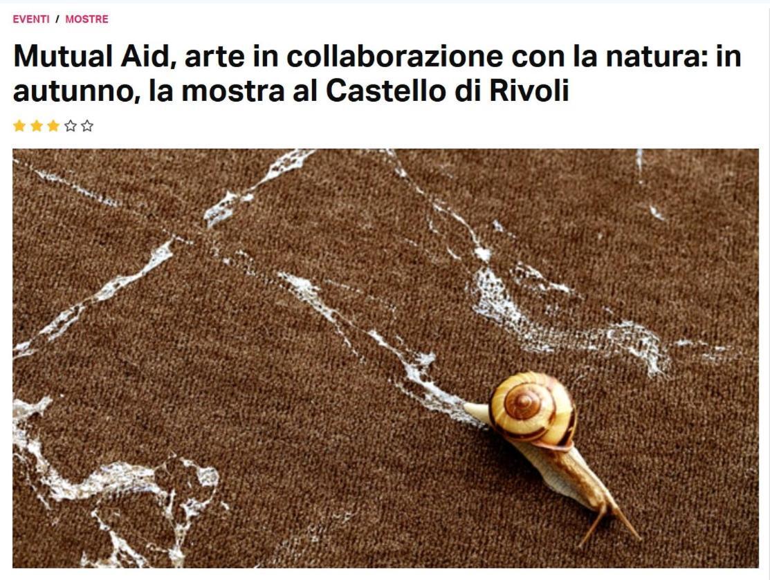 Appartement La Casa Di Silvio Ai Giardini Reali à Turin Extérieur photo
